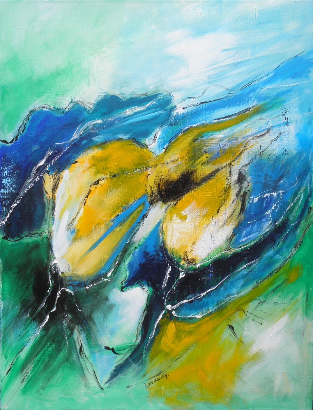 OLYMPUS DIGITAL CAMERA